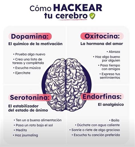 H Bitos De Las Personas Con Inteligencia Emocional Artofit