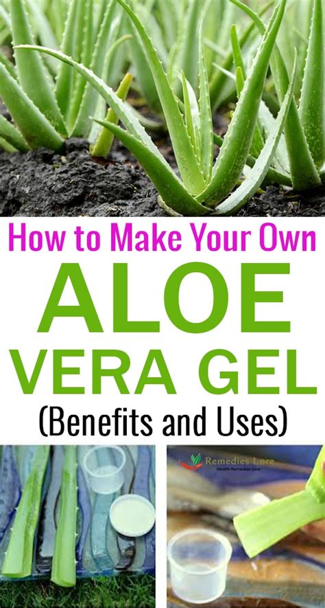 How To Make Your Own Aloe Vera Gel Remedies Lore