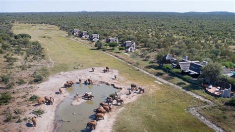 Madikwe Safari Lodge, South Africa - Hotel Review | Condé Nast Traveler