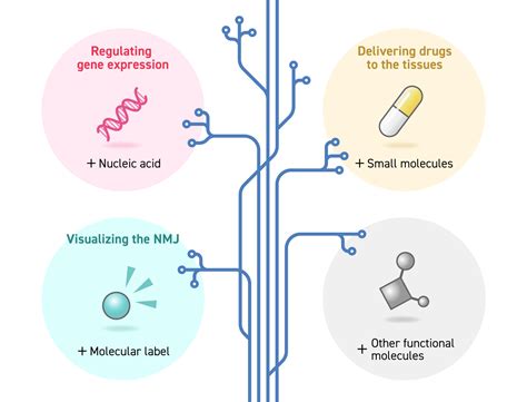 Drug discovery | Jiksak Bioengineering