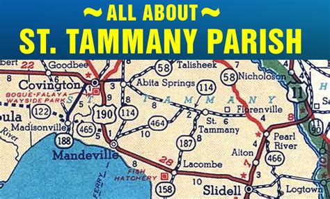 OUR PARISH — St. Tammany Democrats