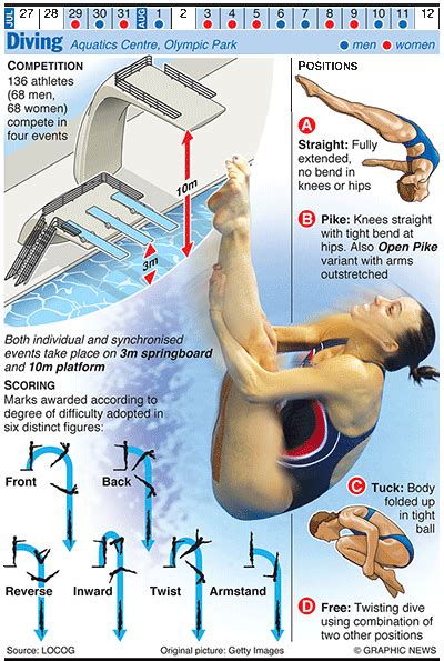 Olympics 2012 in infographics water sports – Artofit