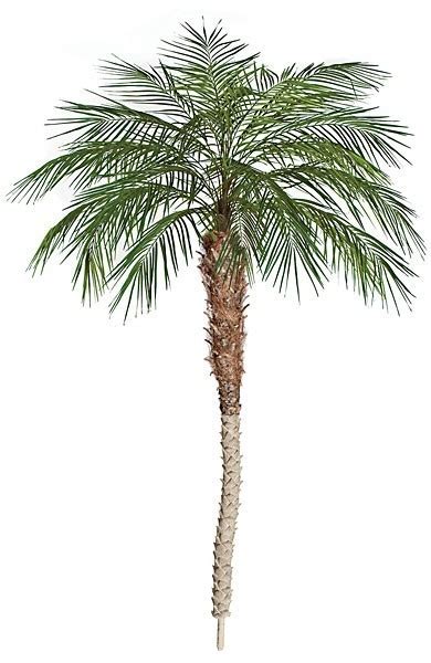 Earthflora Outdoor Artificial Palm Trees Topiaryplants 8 Phoenix Palm Tree Synthetic