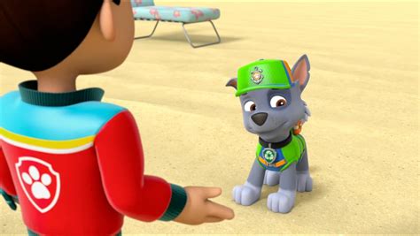 Rocky - PAW Patrol Photo (40718538) - Fanpop