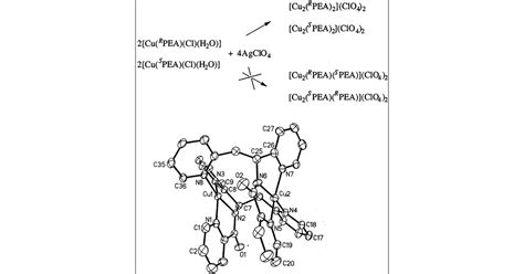 Chiral Monomeric And Homochiral Dimeric Copper II Complexes Of A New