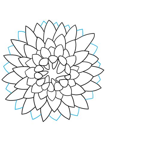 How to Draw a Chrysanthemum - Really Easy Drawing Tutorial