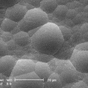 Sem Micrograph Of Surface Of As Deposited Electroless Ni P Coating