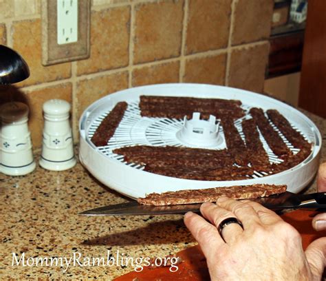 Nesco Snackmaster Pro Food And Jerky Dehydrator Review Giveaway