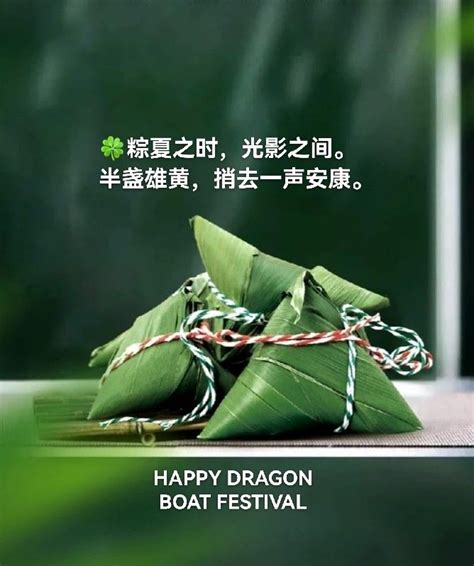 Pin by ROULLETTE ESTHER on 端午节 in 2023 Dragon boat festival Dragon