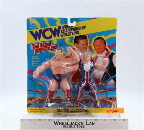 Blue Bloods Tag Team Wrestlers NEW MOSC 1994 WCW Original Toymakers SF