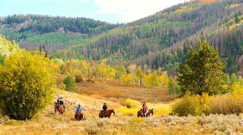 Luxury Guest Ranch Resort in Colorado | Vista Verde Ranch