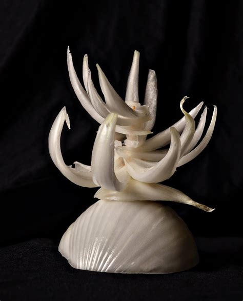 Raw Onion Sculpture By Katie Barer Art My Arts Sculpture