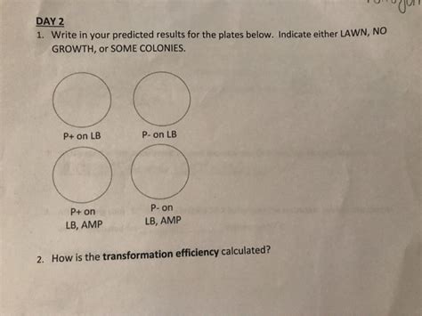 Solved Write In Your Predicted Results For The Plates Below