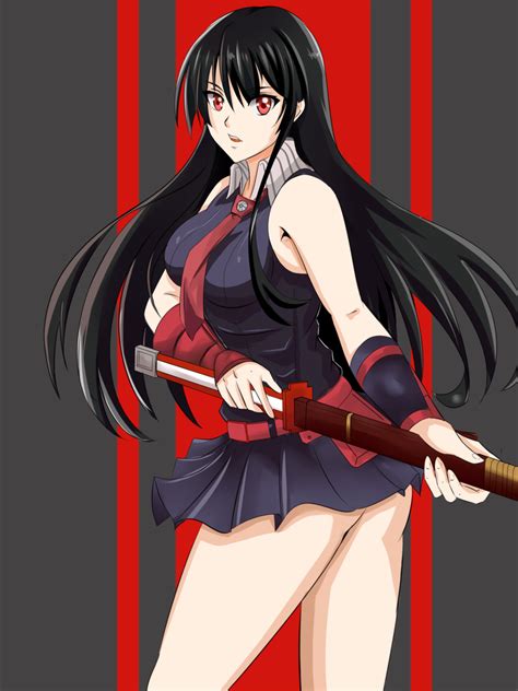 Pin On Akame Ga Kill アカメが斬る