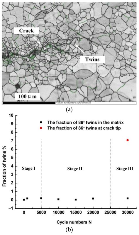 Ratcheting Strain And Microstructure Evolution Of Az31b Magnesium Alloy