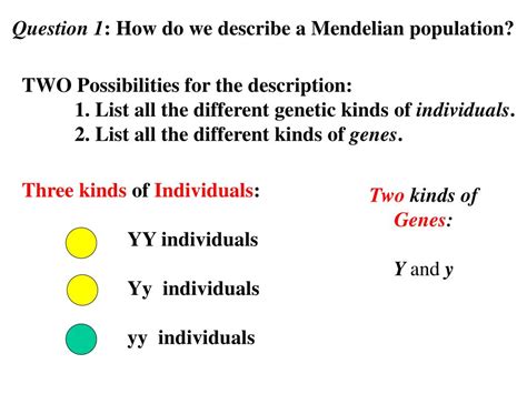 Ppt Genetics Is The Study Of The Mapping Between Phenotype And