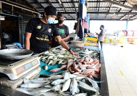 Bekalan Ikan Stabil Harga Runcit Masih Rendah Kosmo Digital