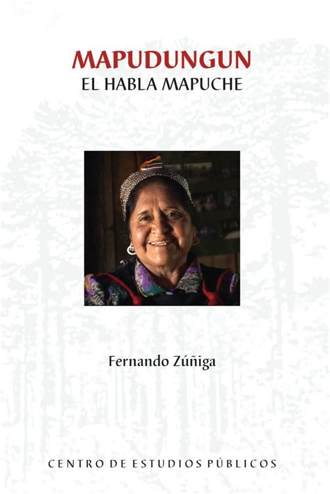 El Pueblo Mapuche En El Siglo Xxi Propuestas Para Un Nuevo Entendimiento Entre Culturas En