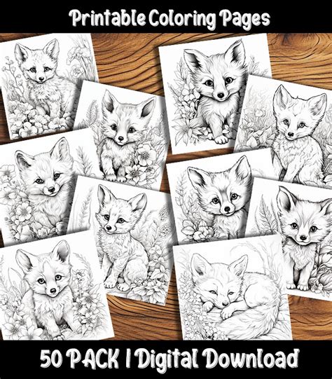 Baby Fox Coloring Pages Digital 50 Pack | Happy Colorist