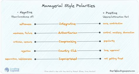 Blake Mouton Leadership Grid Styles And Their Polarities