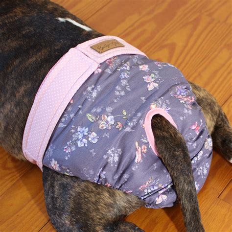 Litter & Housetraining Dogs Dog Incontinence Products Dog Nappies Dog Incontinence Pants Female ...