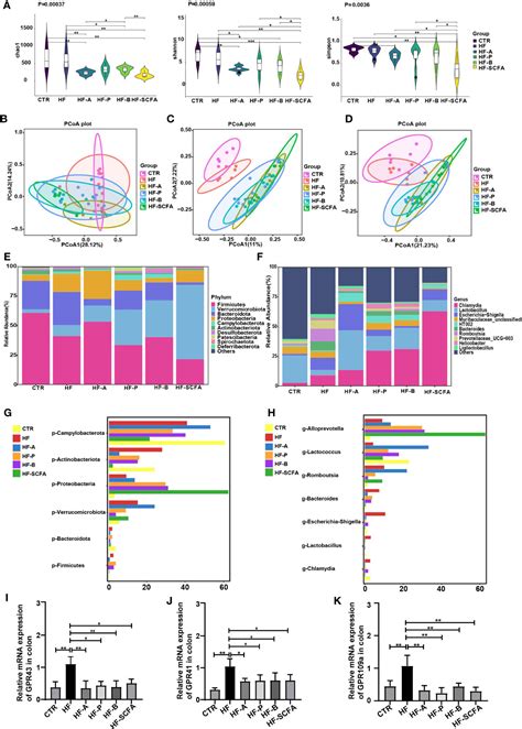 Frontiers Gut Microbiota And Its Derived SCFAs Regulate The HPGA To