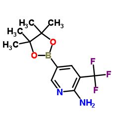 5 4 4 5 5 Tetrametil 1 3 2 Dioxaborolan 2 Il 3 Trifluorometil