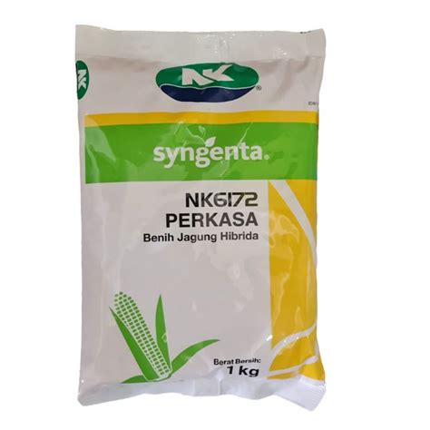 Jual Benih Jagung Hibrida NK 6172 Perkasa 1Kg Cap Syngenta Shopee