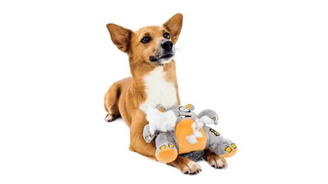 Bark, the maker of the "Dognald" chew toy, has the secret to delightin