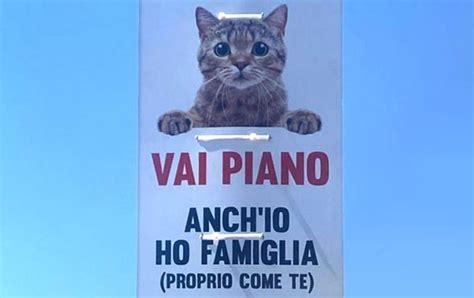 Vai Piano Anche Io Ho Famiglia A Gallipoli Arrivano I Cartelli