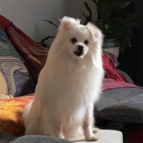 The Way My Ass Would Start Step By Stepping My Requests To Them And When They Had The AUDACITY