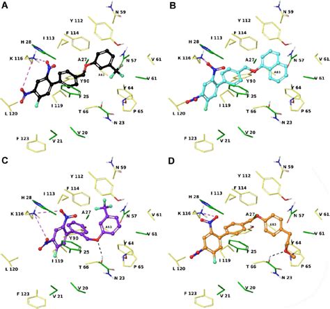 Three Dimensional Model Of The Interactions Given By 1 A A 1 C B Download Scientific