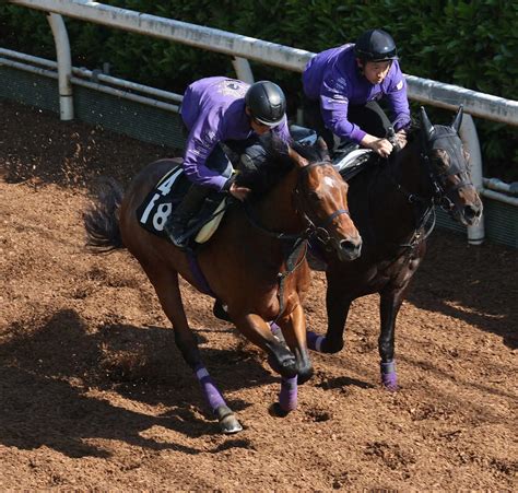 【京都新聞杯】サトノグランツ 使うごとに良化、友道師「いい競馬をしてダービーに」 スポニチ競馬web