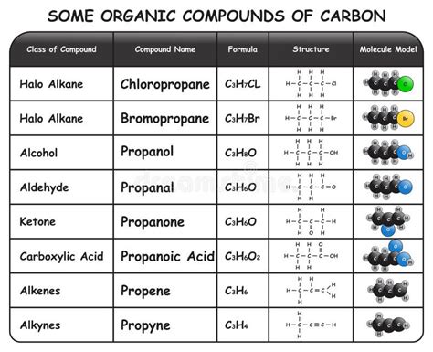 Some Organic Compounds Of Carbon Infographic Diagram Stock Vector Illustration Of Physics