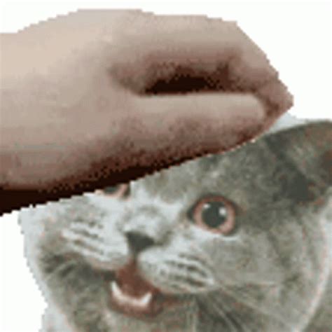 Pets Petting Sticker Pets Petting Meme Discover And Share Gifs