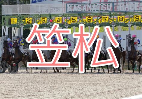 【2023 東海ゴールドカップ（笠松）予想】移籍2戦目ナリタブレードの連勝期待 ウーエー競馬