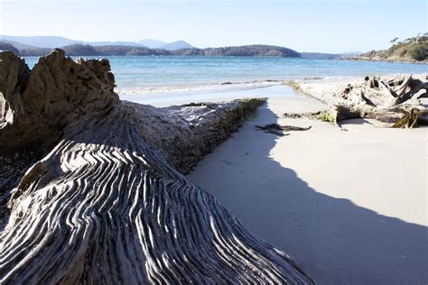 cockle creek, tasmania | Australian road trip, Tasmania road trip ...