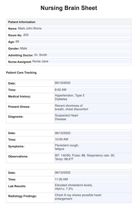 Nursing Brain Sheets & Example | Free PDF Download