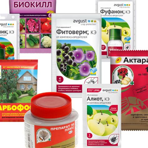 Крестьянско-фермерское хозяйство «Семена Коми» - официальный сайт