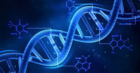 DNA Computing