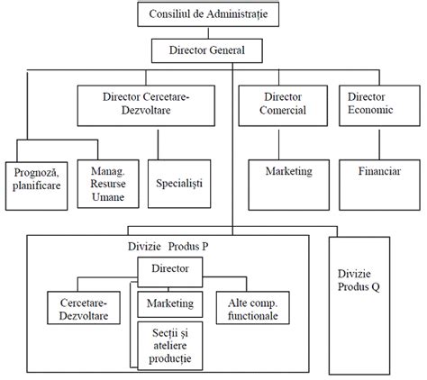 Tipuri De Structuri Organizatorice