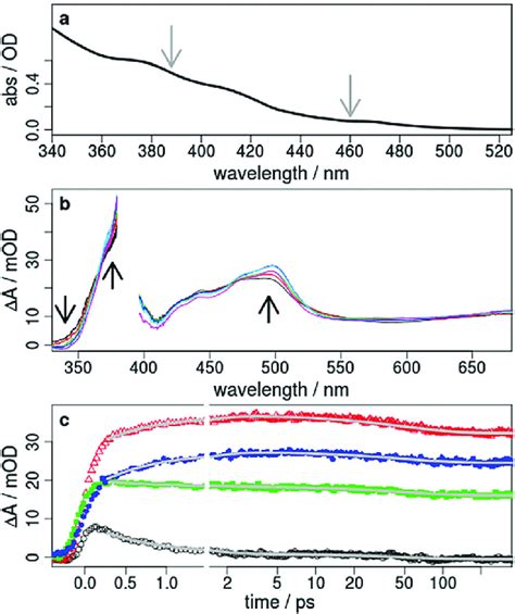 A Steady State Absorption Spectrum Of 1 In Acetonitrile The