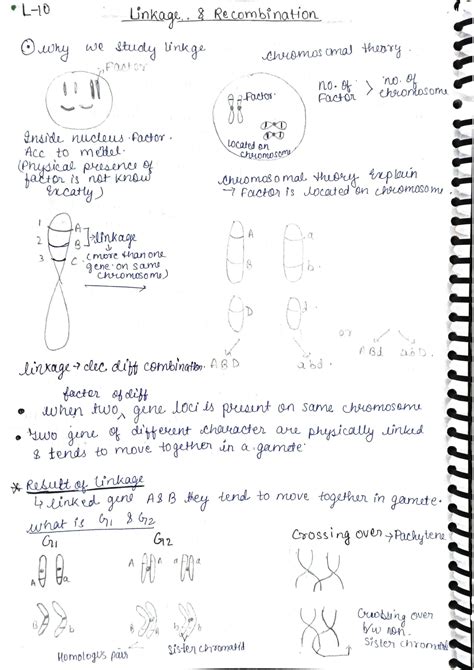 Solution Chromosomal Theory Of Inheritance Sex Determination Class 12