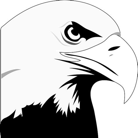 Free Eagle Head Vector Art - Download 3,330+ Eagle Head Icons & Graphics - Pixabay