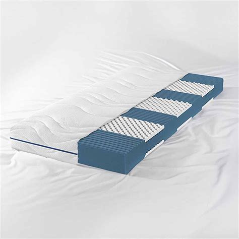 Coltex | BeLaMa