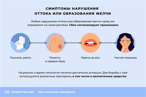 Желчегонные препараты при застое желчи, при холецистите и панкреатите ...