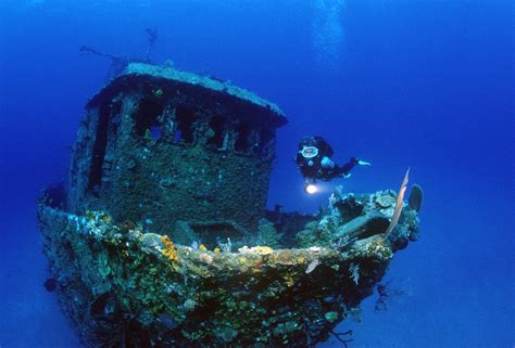 Karibik Kuba Tauchen Unterwasser Faro Luna15 Nautilus Tauchreisen