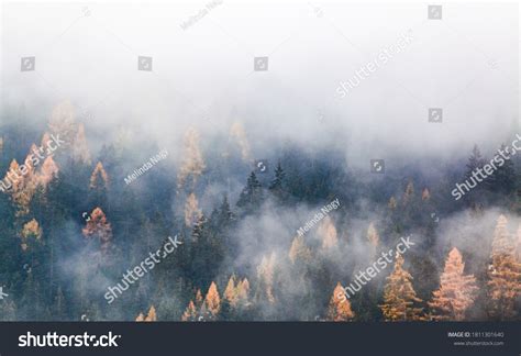 277,443 Foggy autumn Images, Stock Photos & Vectors | Shutterstock