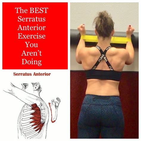 Serratus Anterior Strengthening