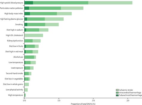 Global Regional And National Burden Of Stroke And Its Risk Factors